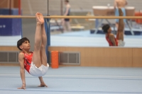 Thumbnail - Participants - Gymnastique Artistique - 2024 - NBL Nord in Cottbus 02068_00431.jpg