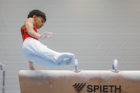 Thumbnail - Josef Jaffer - Artistic Gymnastics - 2024 - NBL Nord in Cottbus - Participants - Turnteam Berlin-Halle 02068_00494.jpg