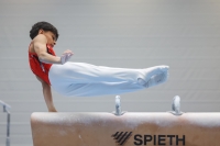 Thumbnail - Josef Jaffer - Artistic Gymnastics - 2024 - NBL Nord in Cottbus - Participants - Turnteam Berlin-Halle 02068_00497.jpg