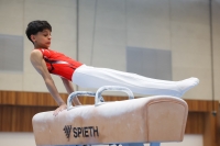 Thumbnail - Josef Jaffer - Gymnastique Artistique - 2024 - NBL Nord in Cottbus - Participants - Turnteam Berlin-Halle 02068_00594.jpg
