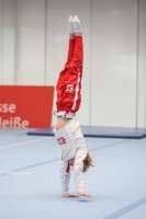 Thumbnail - Siegerländer KV - Спортивная гимнастика - 2024 - NBL Nord in Cottbus - Participants 02068_00629.jpg