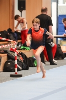 Thumbnail - Turn Team Nord - Artistic Gymnastics - 2024 - NBL Nord in Cottbus - Participants 02068_00682.jpg
