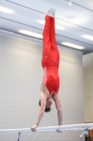 Thumbnail - Joshua Tandel - Gymnastique Artistique - 2024 - NBL Nord in Cottbus - Participants - Turnteam Berlin-Halle 02068_00862.jpg