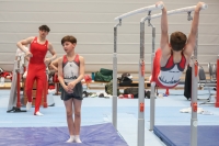 Thumbnail - Participants - Gymnastique Artistique - 2024 - NBL Nord in Cottbus 02068_00879.jpg
