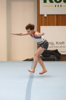 Thumbnail - Participants - Gymnastique Artistique - 2024 - NBL Nord in Cottbus 02068_00931.jpg