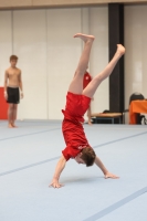 Thumbnail - Participants - Gymnastique Artistique - 2024 - NBL Nord in Cottbus 02068_00937.jpg