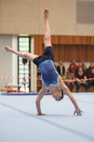 Thumbnail - TZ Bochum - Gymnastique Artistique - 2024 - NBL Nord in Cottbus - Participants 02068_01035.jpg