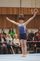Thumbnail - Participants - Artistic Gymnastics - 2024 - NBL Nord in Cottbus 02068_01059.jpg