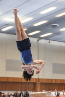 Thumbnail - Participants - Gymnastique Artistique - 2024 - NBL Nord in Cottbus 02068_01083.jpg