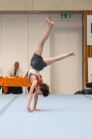 Thumbnail - Participants - Gymnastique Artistique - 2024 - NBL Nord in Cottbus 02068_01152.jpg