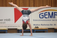 Thumbnail - Erik Böhm - Спортивная гимнастика - 2024 - NBL Nord in Cottbus - Participants - Turnteam Berlin-Halle 02068_01165.jpg
