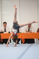 Thumbnail - Participants - Gymnastique Artistique - 2024 - NBL Nord in Cottbus 02068_01170.jpg