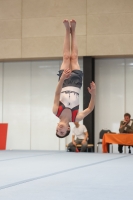 Thumbnail - Participants - Gymnastique Artistique - 2024 - NBL Nord in Cottbus 02068_01189.jpg