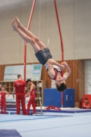 Thumbnail - Harvey Halter - Gymnastique Artistique - 2024 - NBL Nord in Cottbus - Participants - Turnteam Berlin-Halle 02068_01250.jpg