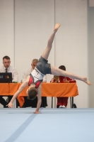 Thumbnail - Participants - Gymnastique Artistique - 2024 - NBL Nord in Cottbus 02068_01257.jpg