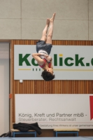 Thumbnail - Josef Jaffer - Gymnastique Artistique - 2024 - NBL Nord in Cottbus - Participants - Turnteam Berlin-Halle 02068_01283.jpg