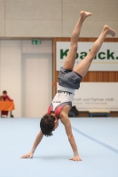 Thumbnail - Josef Jaffer - Gymnastique Artistique - 2024 - NBL Nord in Cottbus - Participants - Turnteam Berlin-Halle 02068_01288.jpg