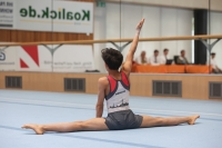 Thumbnail - Participants - Gymnastique Artistique - 2024 - NBL Nord in Cottbus 02068_01297.jpg
