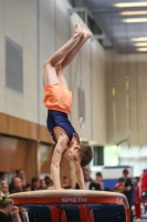 Thumbnail - Georg Gottfried - Artistic Gymnastics - 2024 - NBL Nord in Cottbus - Participants - Turn Team Nord 02068_01314.jpg