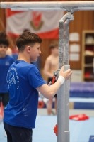 Thumbnail - Participants - Спортивная гимнастика - 2024 - NBL Nord in Cottbus 02068_01380.jpg