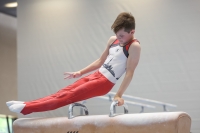 Thumbnail - Harvey Halter - Artistic Gymnastics - 2024 - NBL Nord in Cottbus - Participants - Turnteam Berlin-Halle 02068_01495.jpg