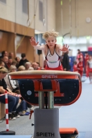 Thumbnail - Participants - Спортивная гимнастика - 2024 - NBL Nord in Cottbus 02068_01567.jpg