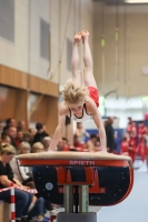 Thumbnail - Participants - Artistic Gymnastics - 2024 - NBL Nord in Cottbus 02068_01569.jpg