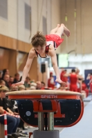 Thumbnail - Participants - Gymnastique Artistique - 2024 - NBL Nord in Cottbus 02068_01581.jpg