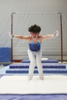 Thumbnail - Participants - Gymnastique Artistique - 2024 - NBL Nord in Cottbus 02068_01593.jpg