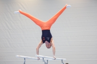 Thumbnail - Participants - Спортивная гимнастика - 2024 - NBL Nord in Cottbus 02068_01673.jpg