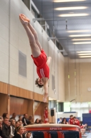 Thumbnail - SC Cottbus - Artistic Gymnastics - 2024 - NBL Nord in Cottbus - Participants 02068_01698.jpg