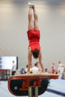 Thumbnail - Fabio Schmidl - Ginnastica Artistica - 2024 - NBL Nord in Cottbus - Participants - SC Cottbus 02068_01760.jpg