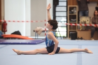 Thumbnail - Participants - Gymnastique Artistique - 2024 - NBL Nord in Cottbus 02068_01882.jpg