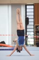 Thumbnail - Participants - Gymnastique Artistique - 2024 - NBL Nord in Cottbus 02068_01885.jpg