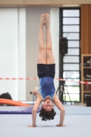 Thumbnail - Participants - Gymnastique Artistique - 2024 - NBL Nord in Cottbus 02068_01887.jpg