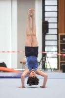 Thumbnail - Participants - Gymnastique Artistique - 2024 - NBL Nord in Cottbus 02068_01888.jpg