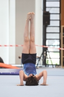 Thumbnail - Participants - Gymnastique Artistique - 2024 - NBL Nord in Cottbus 02068_01889.jpg