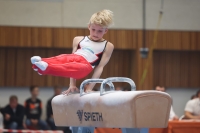 Thumbnail - Participants - Gymnastique Artistique - 2024 - NBL Nord in Cottbus 02068_01916.jpg