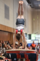 Thumbnail - Harvey Halter - Artistic Gymnastics - 2024 - NBL Nord in Cottbus - Participants - Turnteam Berlin-Halle 02068_02121.jpg