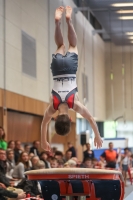 Thumbnail - Harvey Halter - Artistic Gymnastics - 2024 - NBL Nord in Cottbus - Participants - Turnteam Berlin-Halle 02068_02122.jpg