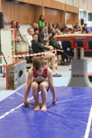 Thumbnail - Participants - Gymnastique Artistique - 2024 - NBL Nord in Cottbus 02068_02123.jpg