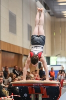 Thumbnail - Participants - Gymnastique Artistique - 2024 - NBL Nord in Cottbus 02068_02153.jpg