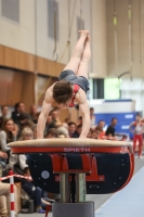 Thumbnail - Participants - Gymnastique Artistique - 2024 - NBL Nord in Cottbus 02068_02195.jpg