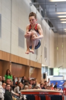 Thumbnail - Harvey Halter - Artistic Gymnastics - 2024 - NBL Nord in Cottbus - Participants - Turnteam Berlin-Halle 02068_02198.jpg