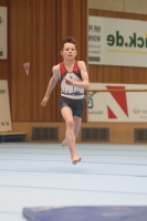 Thumbnail - Harvey Halter - Artistic Gymnastics - 2024 - NBL Nord in Cottbus - Participants - Turnteam Berlin-Halle 02068_02232.jpg
