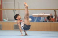 Thumbnail - Participants - Gymnastique Artistique - 2024 - NBL Nord in Cottbus 02068_02327.jpg