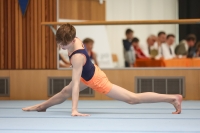 Thumbnail - Participants - Gymnastique Artistique - 2024 - NBL Nord in Cottbus 02068_02415.jpg