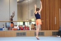 Thumbnail - Participants - Gymnastique Artistique - 2024 - NBL Nord in Cottbus 02068_02543.jpg