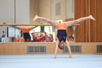 Thumbnail - Participants - Gymnastique Artistique - 2024 - NBL Nord in Cottbus 02068_02558.jpg