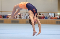 Thumbnail - Participants - Gymnastique Artistique - 2024 - NBL Nord in Cottbus 02068_02591.jpg
